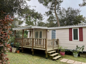 Mobile Home Ba540 3ch Siblu Bonne Anse La Palmyre